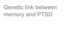 Genetic link between memory and PTSD
